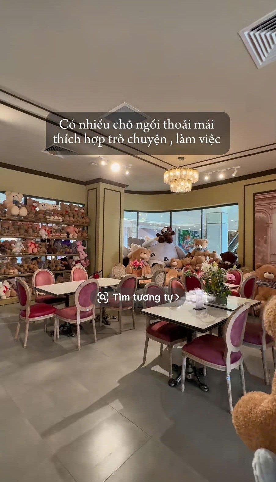 Teddy Café Aqua City
