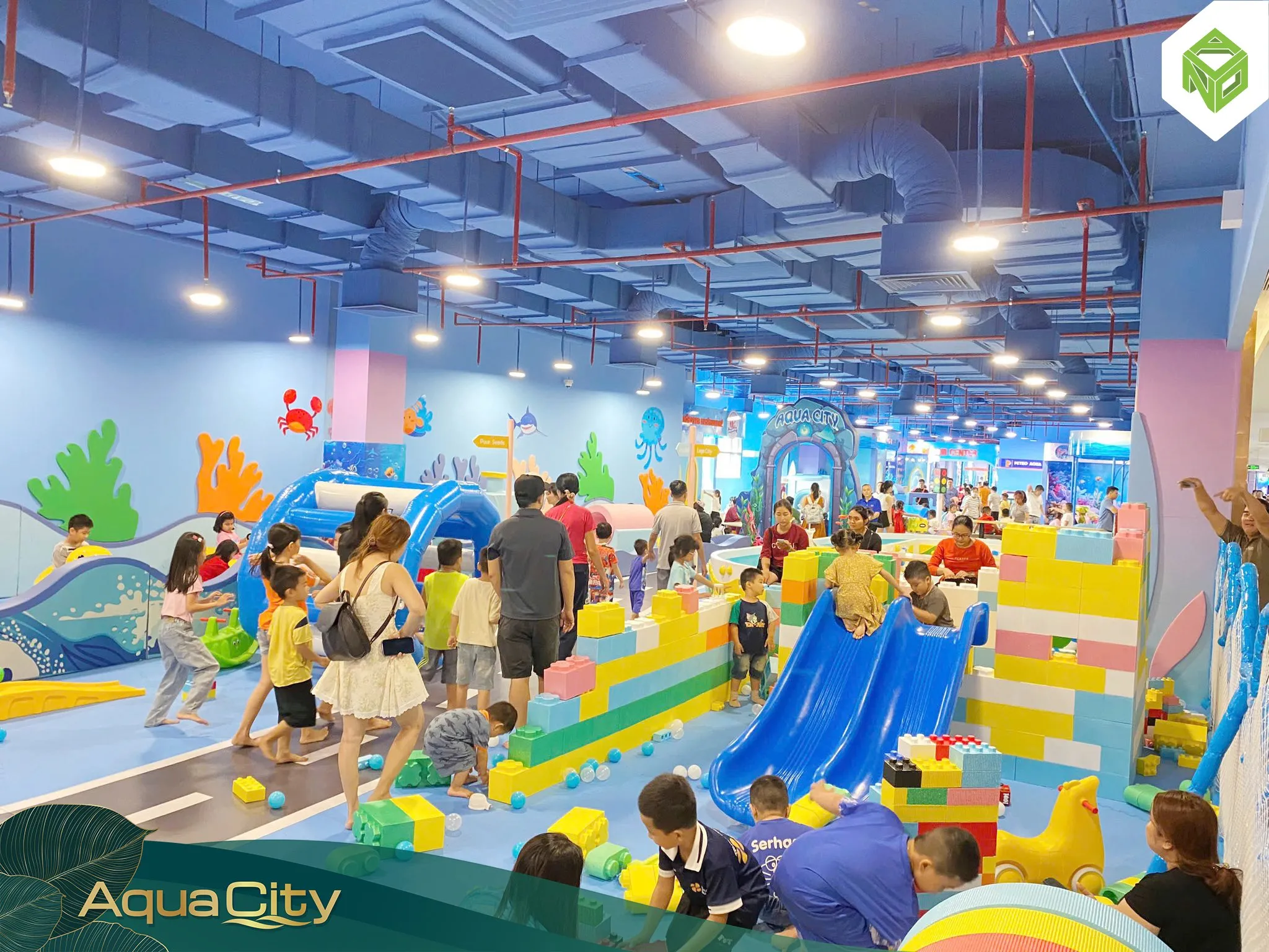 596403044 1376517074486212 8721070312595756103 n 11zon 1