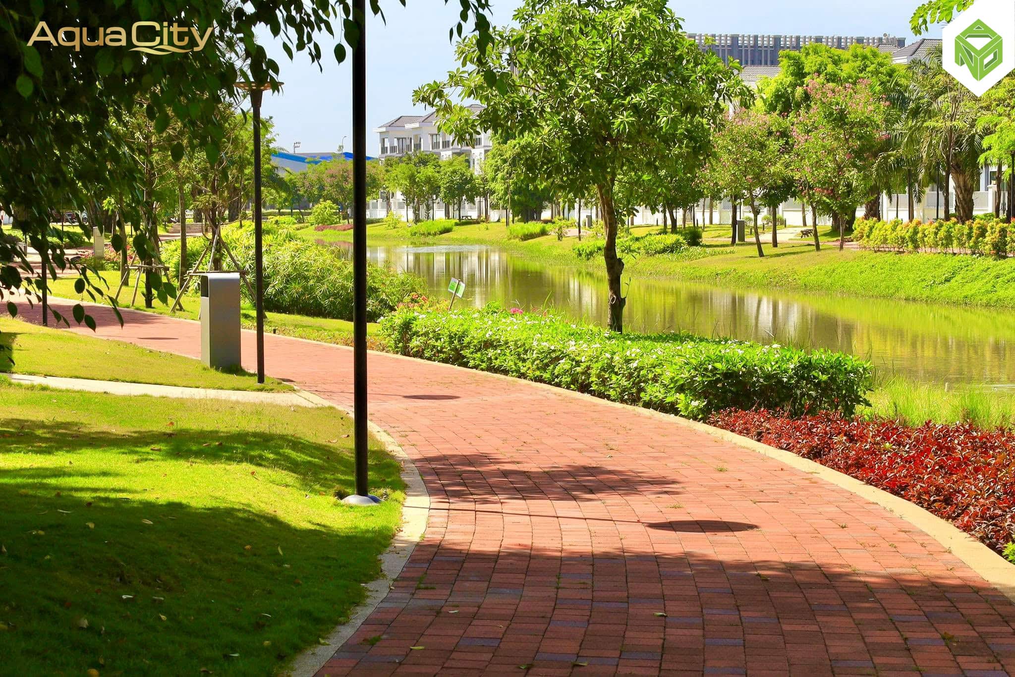 Ever Green 3 Aqua City